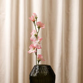 Sweetpea Pink Flowers